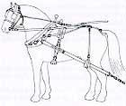 Logging Harness